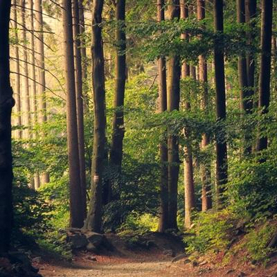 ob体育下载手机版截图